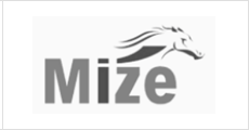 Mize